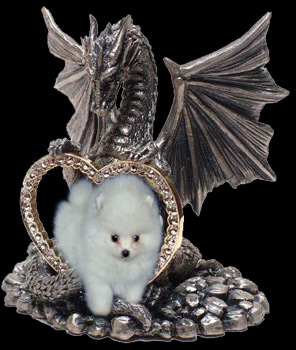 Zwergspitze von Little Dragon Heart - Eingang